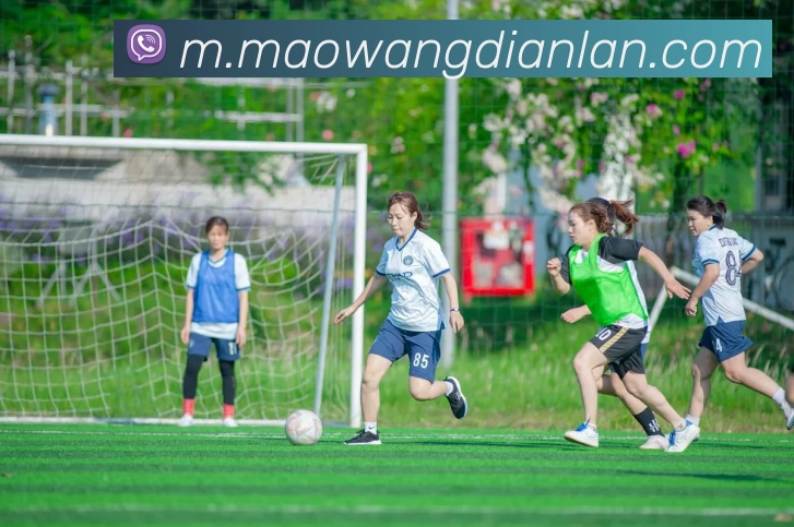 多媒体互动体验