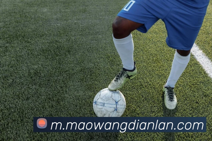 数据防护可视化